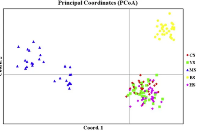 Fig. 2. Distribution of 150 individuals (5 taxa) ofthe total genetic variance, respectively