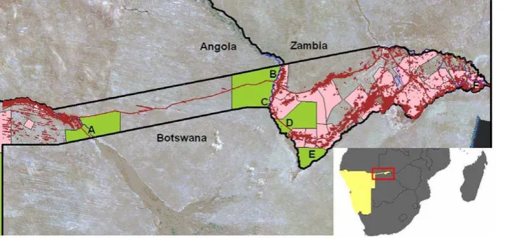 Figure 1. The study area and buffalo GPS locations. The study area was the Caprivi Strip of Namibia, with GPS locations ofanimals (different colours indicate different individuals)