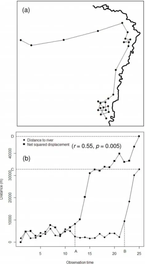 Figure 4. Inference of migratory behaviour from net-squareddisplacement.permanent river (heavy line) during the dry season, and then migratingto a wet season range; and (b) the resulting plots of distance to river vsobservation time and net-squared displac