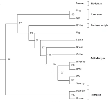 Fig. 2. Phylogenetic tree of IL-1a as representative ﬁgure of all the inﬂammatory cytokines