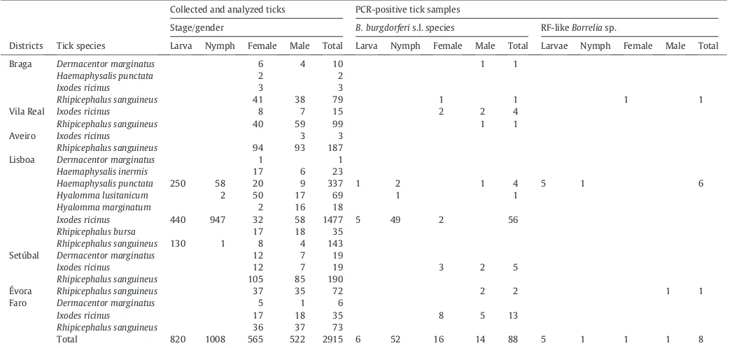 Table 2Primers used in this study for the speci