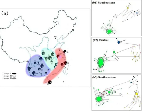 Figure 1. Geographic distribution and lineage composition of 22 Chinese swamp buffalo populations
