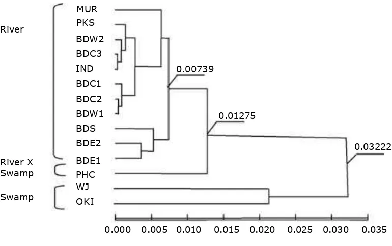 Figure 1. Karyotypes of Bangladeshi female swamp Buffalo. 