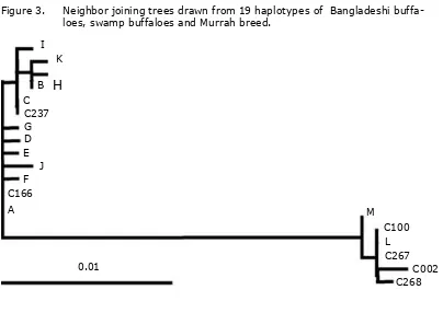 Figure 3. neighbor joining trees drawn from 19 haplotypes of  Bangladeshi buffa-