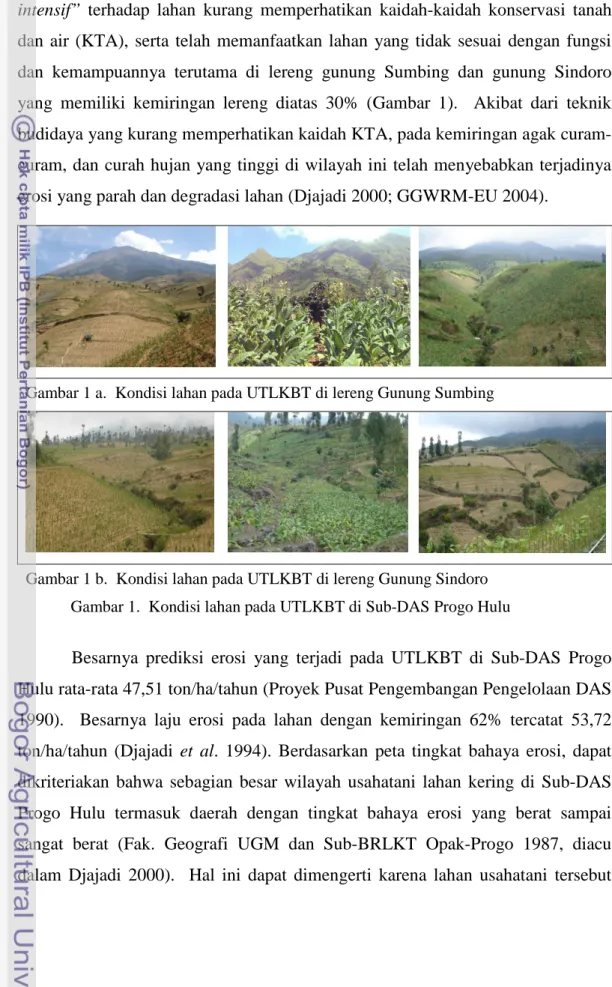 Gambar 1 a.  Kondisi lahan pada UTLKBT di lereng Gunung Sumbing
