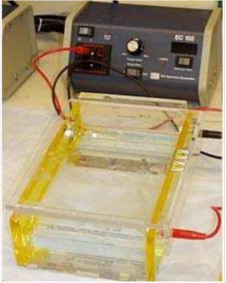 Figure 4: Running standard agarose DNA gel. 