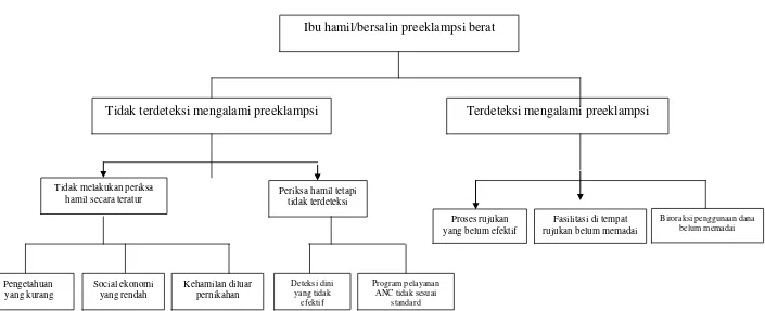 Gambar 5.1. Penyebab Ibu Hamil/Bersalin Masuk ke RSUD Dr. Pirngadi Kota Medan 