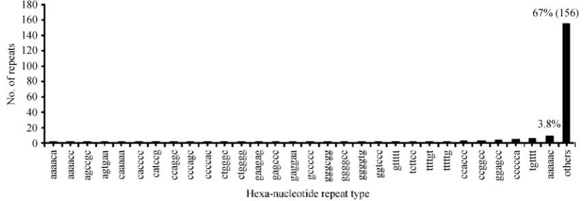 Fig. 5.  Frequency distribution of 48 penta-nucleotide repeat type in UniGene sequences of cattle