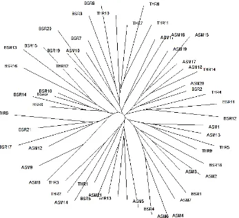 Figure 2Neighbour joining tree where allele sharing distances among 56 buffalo on 20 microsatellites were used