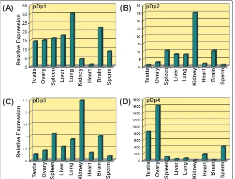 Table 4 Relative expression analysis of the representative RsaI mRNA transcripts in different somatic tissues andspermatozoa of buffalo Bubalus bubalis