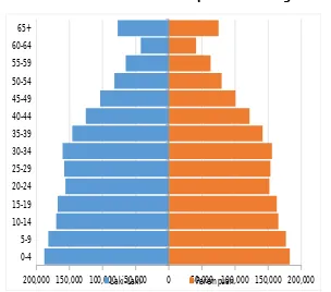 Gambar II.14 Piramida Penduduk Kabupaten Bandung Tahun 2016