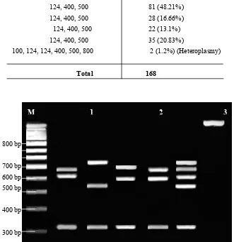Table 1. Restriction morphs of HaeIII enzyme for mtDNA D-loop region and their frequencies 