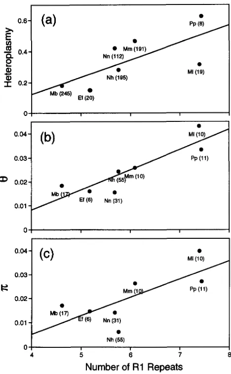 FIGURE 4.-(a) Average Tukey  comparisons are  connected by horizontal  lines. (b) of Means that  do  not  differ Mean (+SE) number of repeats for each the  eight  vespertilionine  species  illustrated  in  Figure  3