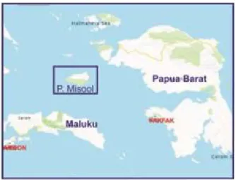 Gambar 1.  Lokasi daerah penelitian yang berada di P. Misool.