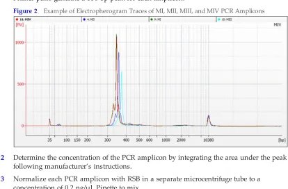 Figure 2Example of Electropherogram Traces of MI, MII, MIII, and MIV PCR Amplicons