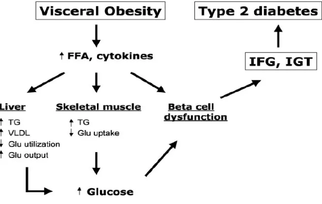 Gambar 2. Patogenesis Intoleransi glukosa pada penderita obes.7 