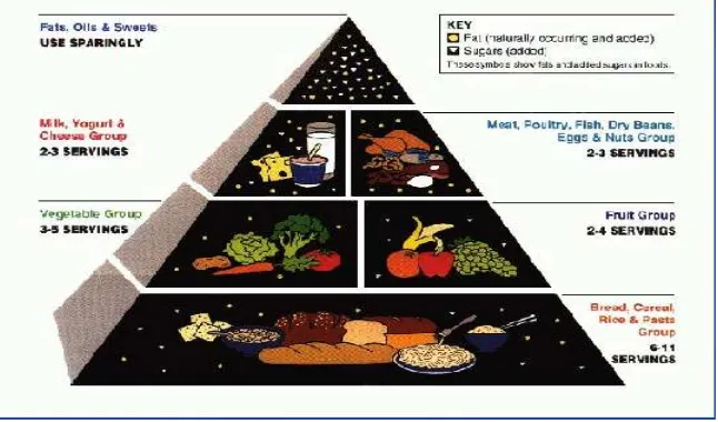Gambar 4. Piramida makanan.30