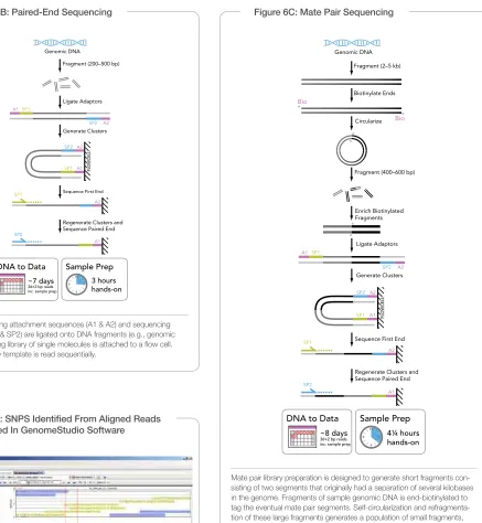 Figure 6B: Paired-End Sequencing