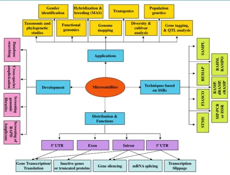 Figure 2. Microsatellites—a summary of development, distribution, functions and applications [1]