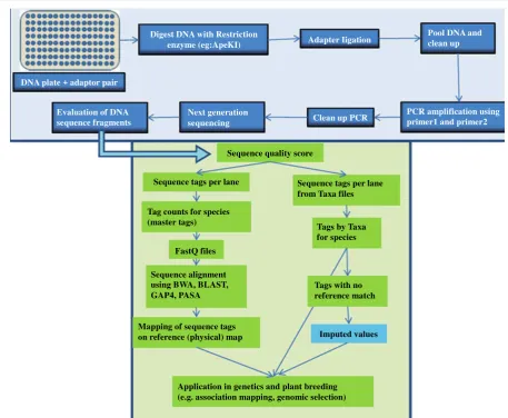 Figure 4. A workflow for genotyping-by-sequencing (GBS) approach. A schematic representation of various steps involved in GBS approach has been shown (Adopted from Poland, Brown [2])