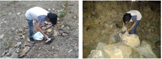 Gambar 3. Identifikasi sampel tanah (Cahyana, 2019)
