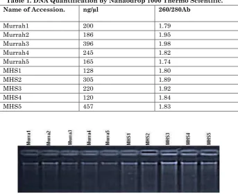 Table 1. DNA Quantification by Nanaodrop 1000 Thermo Scientific.
