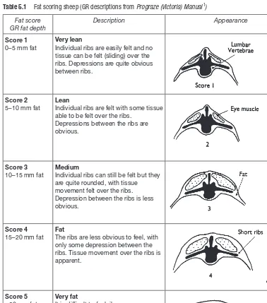 Table 5.1 Fat scoring sheep (GR descriptions from Prograze (Victoria) Manual 1)