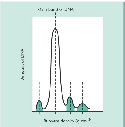 Fig. 2.12 Density of gene sequences in isochore families.Relative numbers of sequences over relative amounts ofisochore families are presented in the histograms