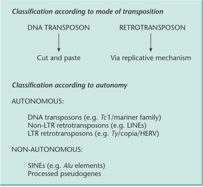 Fig. 2.18 Interspersion analysis of DNA reassociationkinetics (see text for details).