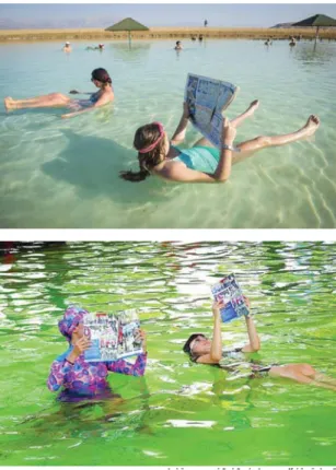 Gambar 3. Laut mati (atas) dan kolam apung (bawah)