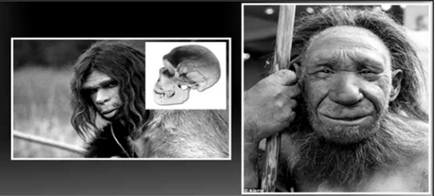 Gambar 10. Keturunan Manusia Neanderthal 