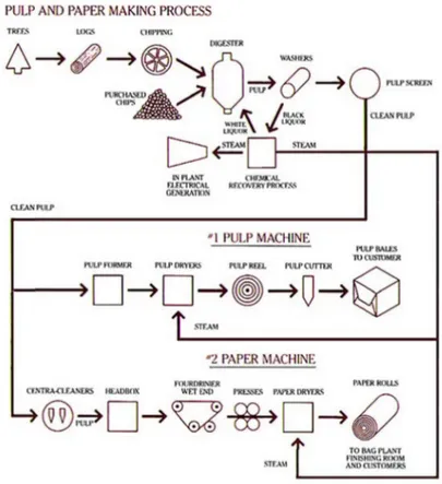 Gambar 1 Proses pembuatan pulp dan kertas 