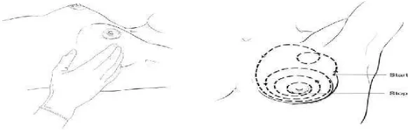Gambar 4 Teknik Spiral untuk Pemeriksaan Payudara 