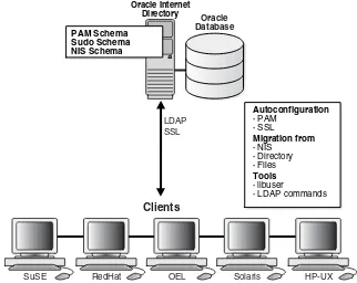 Figure 1–1Features of Oracle Authentication Services for Operating Systems