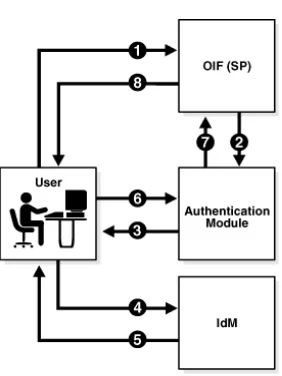 Figure 2–8Authenticating with an IdM Solution in IdP Mode
