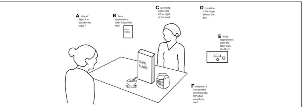 FIGURE 1 | Example of different ways in which VPT can be examined.(A)paradigms ask questions about the position of certain items, for instance, “isthe milk to the left or right hand side of the cereal box?” Line of sight paradigms ask questions about whether a person can see anitem, for example, “can the person on the far side of the table see the sugarbowl?” (B) Item appearance paradigms ask questions about how an itemwould appear from different points of view, for instance, “would the personon the far side of the table see the front of the cereal box?” (C) Laterality (D) Item location