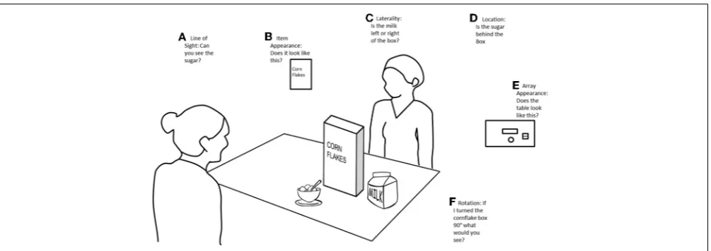 FIGURE 1 | Example of different ways in which VPT can be examined.(A)paradigms ask questions about the position of certain items, for instance, “isthe milk to the left or right hand side of the cereal box?” Line of sight paradigms ask questions about whether a person can see anitem, for example, “can the person on the far side of the table see the sugarbowl?” (B) Item appearance paradigms ask questions about how an itemwould appear from different points of view, for instance, “would the personon the far side of the table see the front of the cereal box?” (C) Laterality (D) Item location