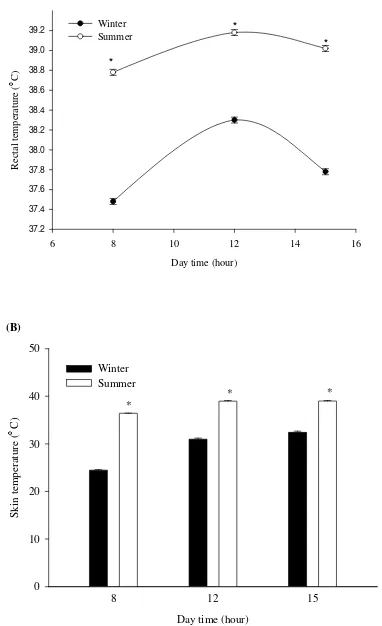 Fig. 2: Diurnal pattern and the seasonal variation in rectal temperature (A) and skin temperature (B) of Najdi sheep (means±SEM, n=6, *P<0.05 compared to winter values)