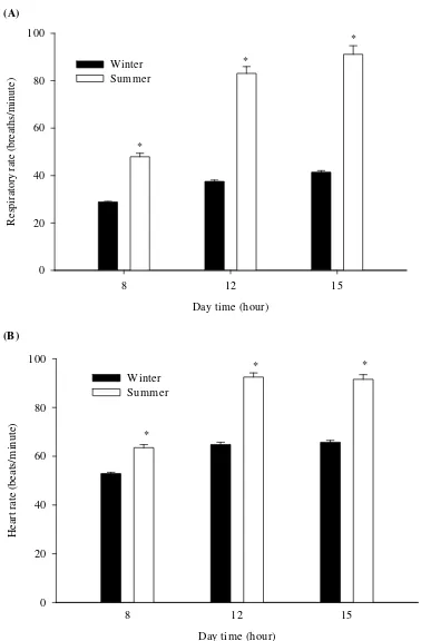 Fig. 3: Diurnal pattern and seasonal variation in Respiratory rate (A) and heart rate (B) of Najdi sheep (means±SEM, n=6, *P<0.05 compared to winter values