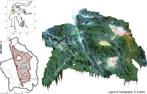 Figure 1: Overview of the study area surrounding the Lore Lindu National Park (LLNP) in the prov-ince of Central Sulawesi (right: Landsat/ETM+ color composite draped over digital terrain model) 