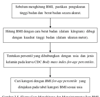 Gambar 2.5. Skema Cara Menghitung dan Menginterpretasikan BMI 