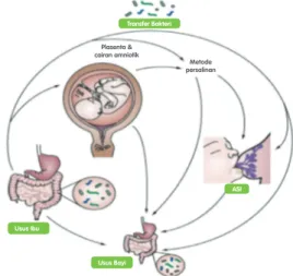 Gambar 18.1 Program mikrobiota saluran cerna dari  ibu ke bayi