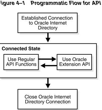 Figure 4–1Programmatic Flow for API Extensions