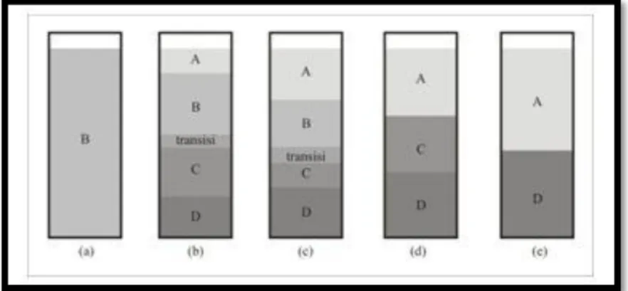 Gambar 1 Mekanisme Sedimentasi Batch (Budi, 2011) 