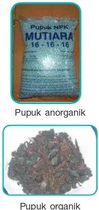 Gambar 4.9 Pupuk anorganik  