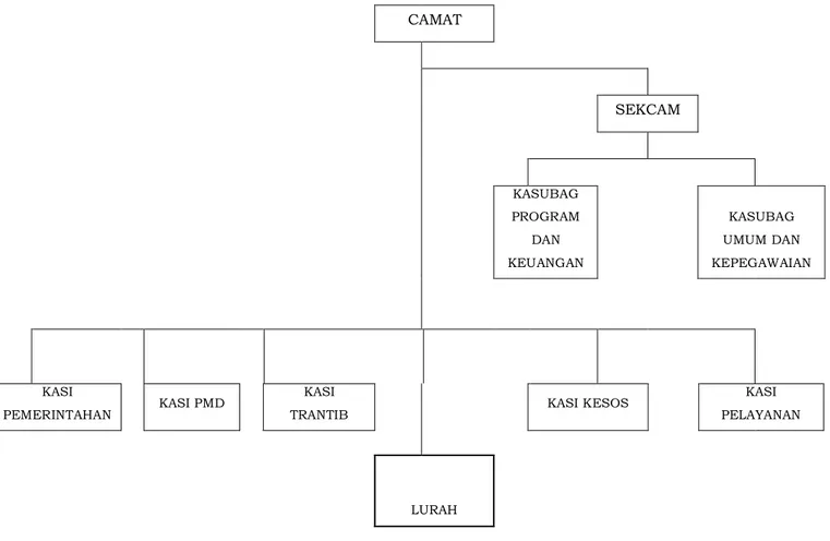 Gambar 2.1 Bagan Struktur Organisasi Kecamatan Pati  2.1.2. Tugas Pokok dan Fungsi Kecamatan 