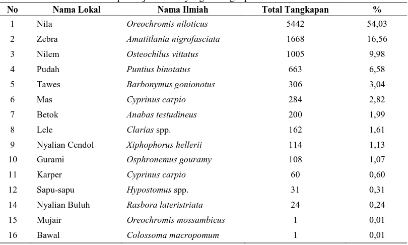 Tabel 4. Data enumerator komposisi jenis ikan yang tertangkap di Danau Beratan No Nama Lokal Nama Ilmiah Total Tangkapan 