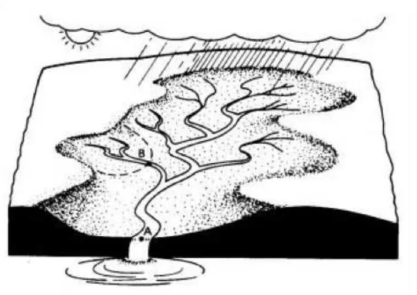 Gambar 1: Daerah Aliran Sungai (watershed atau drainage basin)
