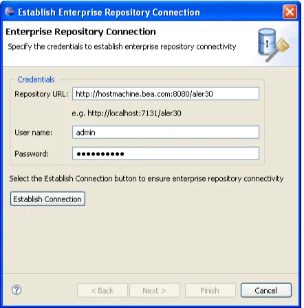 Figure 9–15Establish Enterprise Repository Connection