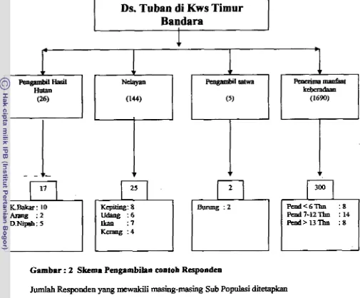 Gambar : 2 Skema Pengambilan contoh Responden 